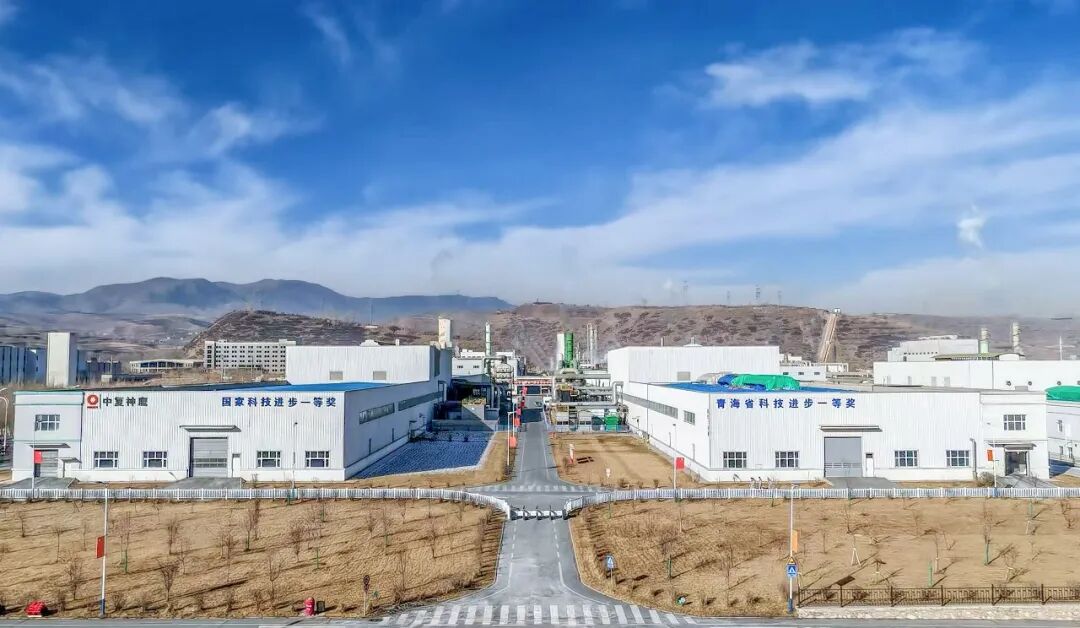 20260224143617602113